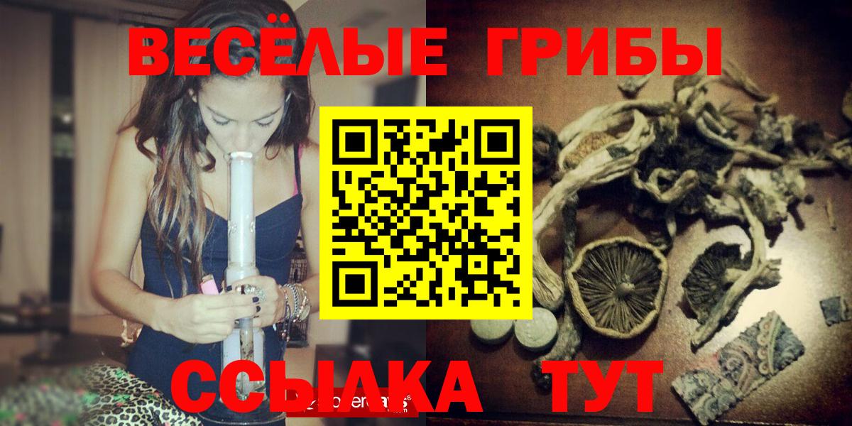 Галлюциногенные грибы прущие грибы Кинешма
