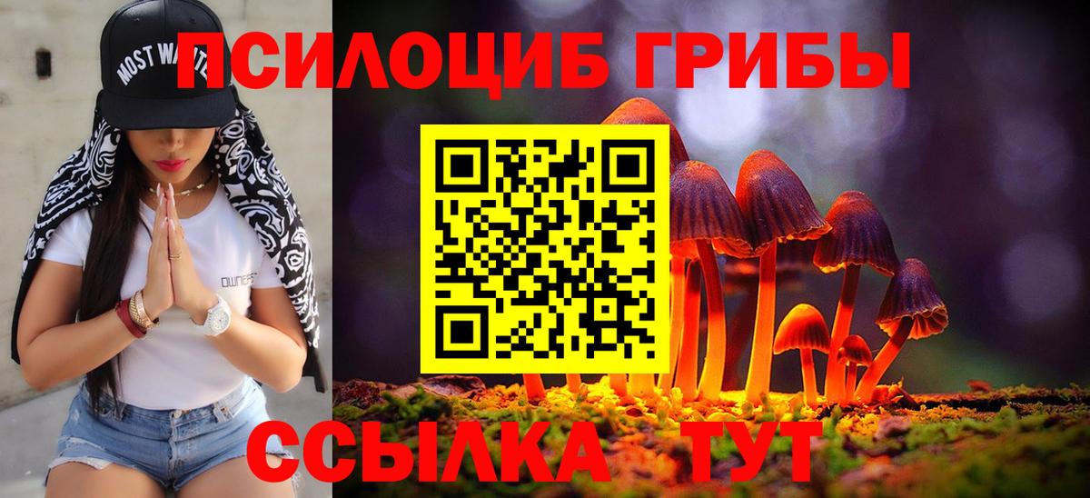 Галлюциногенные грибы прущие грибы  Вход с VPN  Галлюциногенные грибы мицелий  Кинешма 